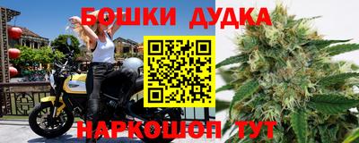 индика Коммунар