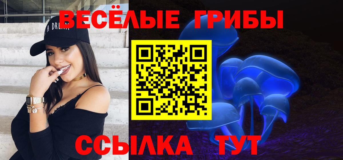 Галлюциногенные грибы GOLDEN TEACHER  Вход с VPN  Вязьма 
